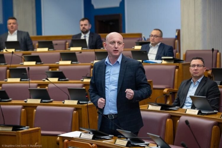 Knežević Spajić: I would kill Miloš Medenica if he said for me what he said for you