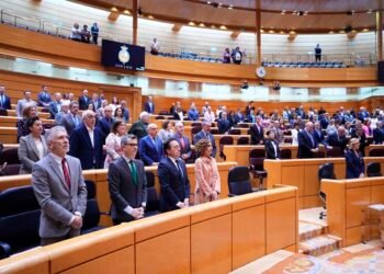 Spanish Senate asks the Government to lead the transition in Venezuela and leave “indifference”
