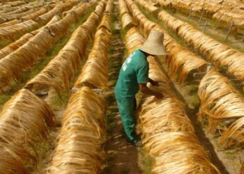 Slave labor: Minister helps association linked to PT – 04/14/2026 – Economy