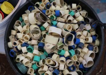 Federal Ghost Gear Fund to return, bringing hope to some organizations in the Maritimes