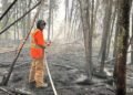 Sask. volunteers spent $39K to save their homes from wildfire. Will they be compensated?