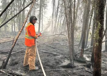 Sask. volunteers spent $39K to save their homes from wildfire. Will they be compensated?