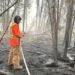 Sask. volunteers spent $39K to save their homes from wildfire. Will they be compensated?
