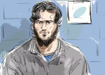 Former Ontario student pleads guilty in U.S. terrorism case