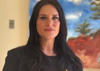 Survivor of intimate partner violence asks P.E.I. MLAs for better protection for victims