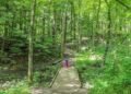 You can now get a prescription for nature access if you live in Hamilton, here’s how