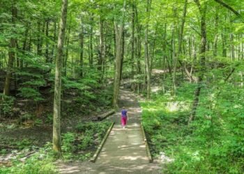 You can now get a prescription for nature access if you live in Hamilton, here’s how