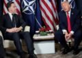 Trump rages, NATO endures: Why the alliance is harder to kill than it looks