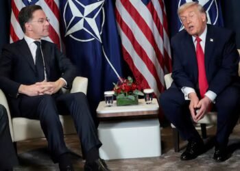 Trump rages, NATO endures: Why the alliance is harder to kill than it looks