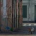 PCC, CV and TCP join forces with local factions in 17 states – 04/13/2026 – Daily Life