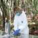 Scientists want to build an outdoor lab near Windsor to study decomposing human bodies