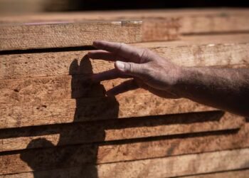 U.S. appears to lower Canadian softwood lumber tariffs — but uncertainty remains