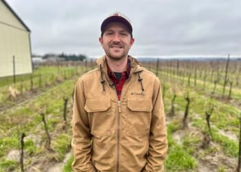 Tough winter conditions could impact grape harvest as Ontario wine booms