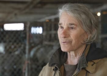 Farmers fight Liberal high-speed rail plan ahead of crucial byelections