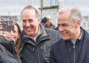 Liberals share new details of how they attracted first floor-crosser, Chris d’Entremont