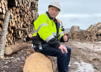As the N.L. newsprint industry sputters, these sawmill owners are framing up a bright future