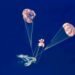 PHOTOS: New images of the Artemis II astronauts published; This is what they looked like after Orion’s splashdown