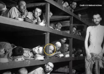 Winnipegger honours dad who was among survivors shown in famous concentration camp photo