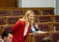 Nedović: If they built such buildings in the desert in Dubai, we can do the same on Velje brdo