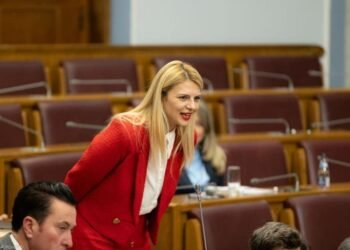 Nedović: If they built such buildings in the desert in Dubai, we can do the same on Velje brdo