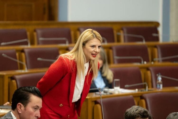Nedović: If they built such buildings in the desert in Dubai, we can do the same on Velje brdo