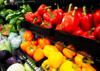 Public grocery stores are having a moment. Can they really make food more affordable?