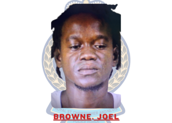 Joel Browne Sentenced to Prison for Firearm and Ammunition Offences
