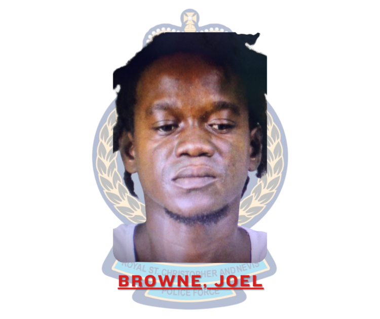 Joel Browne Sentenced to Prison for Firearm and Ammunition Offences