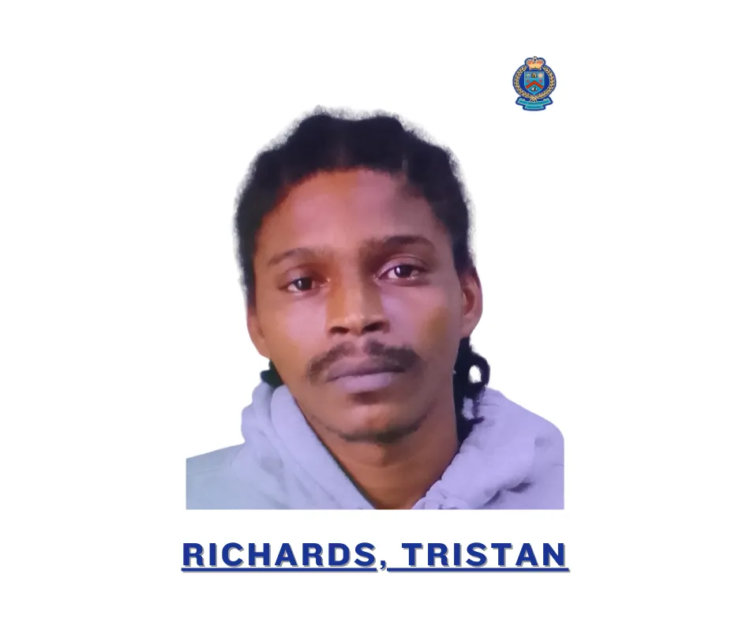 Tristan Richards Jailed for Firearm and Ammunition Offences