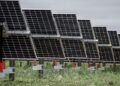 The future of electricity is wind and solar, new report says. Canada is lagging behind