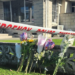 Family of woman and children killed in Hastings homicide say they are ‘devastated’