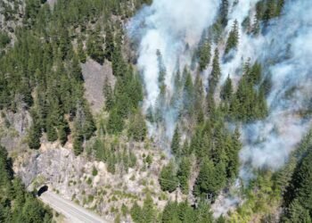 Early-season wildfires in B.C. prompt warnings