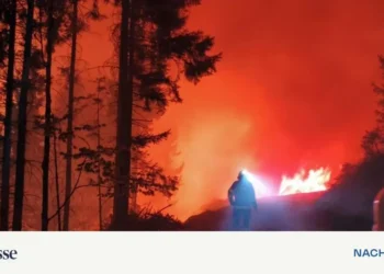 No end in sight to the forest fire in the Carinthian Lesachtal – DiePresse.com