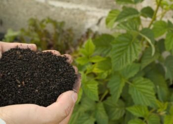 Government participating in EU-level discussions to address high fertiliser prices