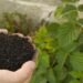 Government participating in EU-level discussions to address high fertiliser prices