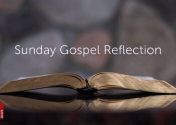 Lord’s Day Reflection: When shepherds meet the Good Shepherd