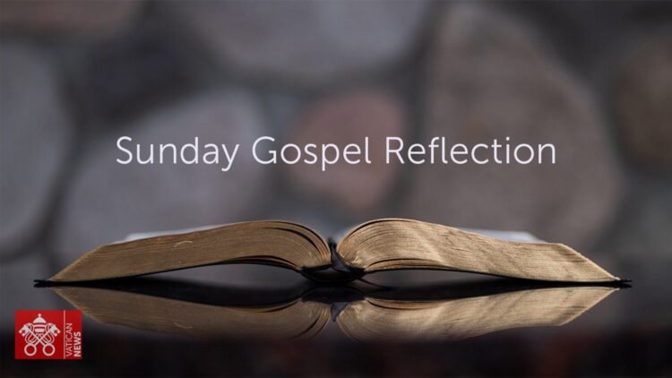 Lord’s Day Reflection: When shepherds meet the Good Shepherd