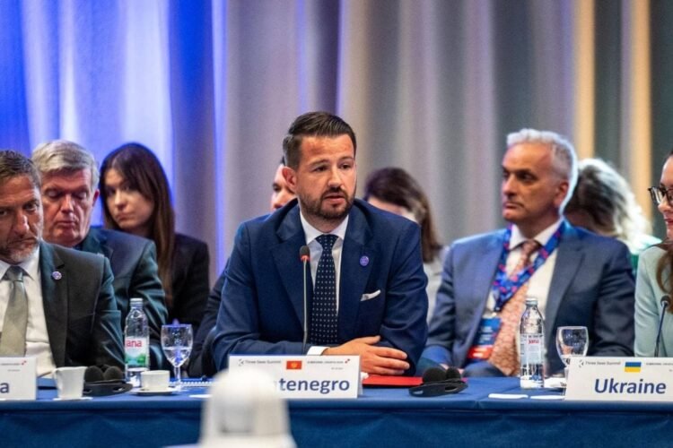Miltović: We clearly see our future in the EU