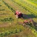 €6 million scheme launched to modernise agriculture