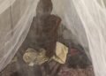 Somalia: a question of life and death