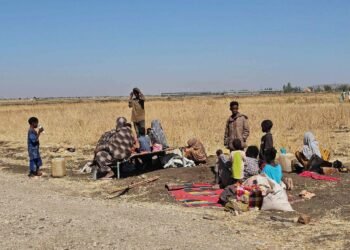 UNICEF: Darfur’s children trapped in a humanitarian catastrophe