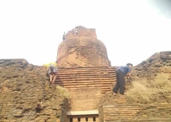 Bagan Conservation Drive Continues with Ongoing Plant Clearance