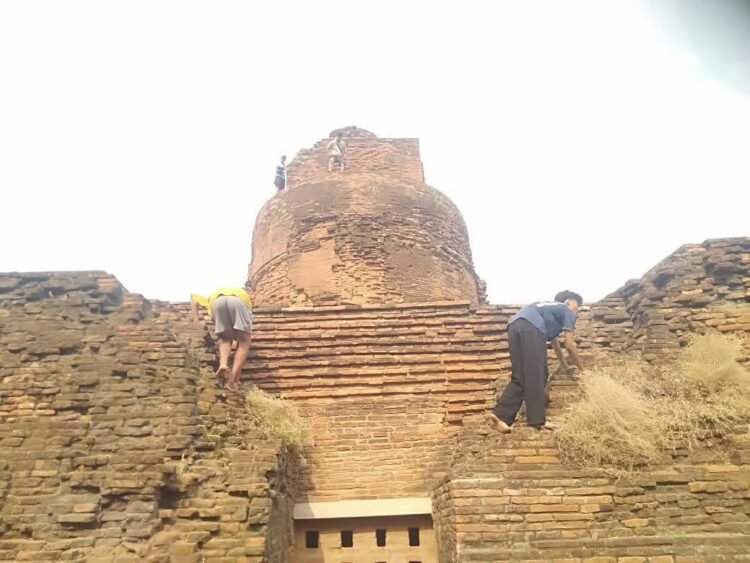 Bagan Conservation Drive Continues with Ongoing Plant Clearance