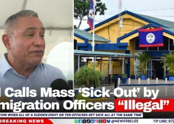PM Calls Mass ‘Sick‑Out’ by Immigration Officers “Illegal”