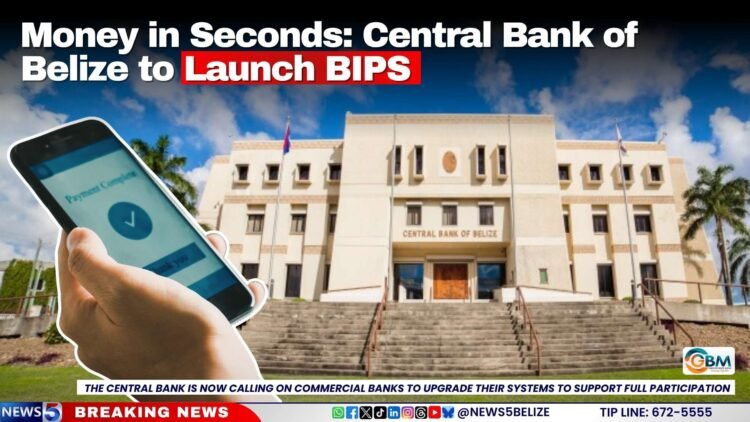 Money in Seconds: Central Bank of Belize to Launch BIPS