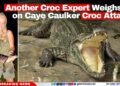 Another Croc Expert Weighs in on Caye Caulker Croc Attack