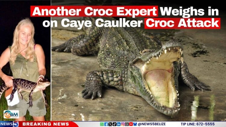 Another Croc Expert Weighs in on Caye Caulker Croc Attack