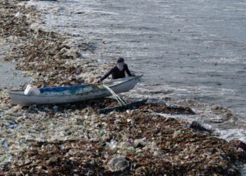 The net-zero fantasy: Renewables alone won’t save Indonesia – Academia