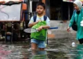 ‘Unexpected’ rate of sea level rise in 2024: NASA | Environment News
