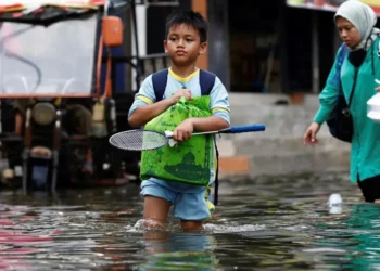 ‘Unexpected’ rate of sea level rise in 2024: NASA | Environment News